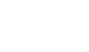 Logo Stuv